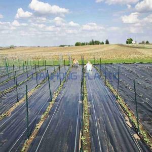 Weed Barrier Fabric: Types, Characteristics, and Corresponding Advantages