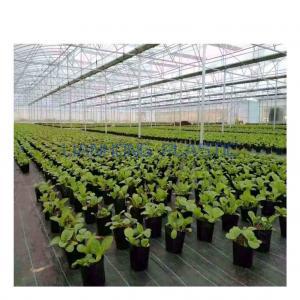 Prepare your greenhouse for the next harvest