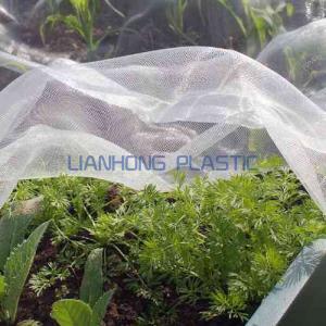 Five things you need to know about Insect Netting