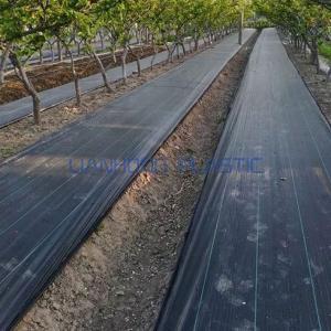 Points to choose best PP ground cover for orchard use
