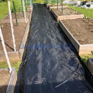 How to Install a Weed Barrier?