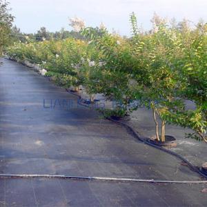 What is Weed Barrier? 3 Types of Weed Barrier