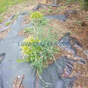 How to Remove Landscape Fabric? How to Remove Landscape Fabric?