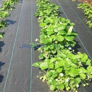 Heavy Duty Weed Barrier Fabric 