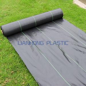 PP Woven Fabric