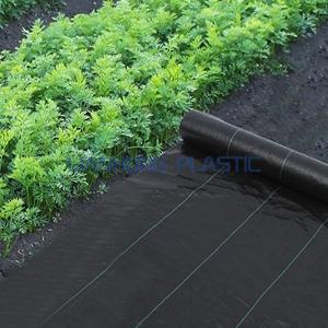 Weed Control Ground Cover